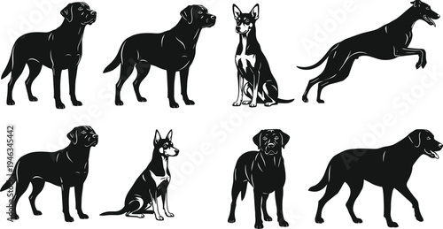 Doberman and Labrador dog silhouettes set, guard and hunting breeds black vector illustration isolated on white