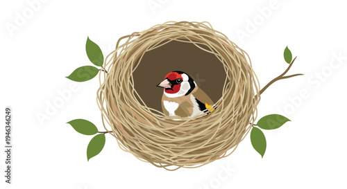 Small colorful bird is sitting comfortably inside a woven twig nest located on a leafy green tree branch.