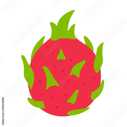 dragon fruit fresh fruit vector illustration healthy food 