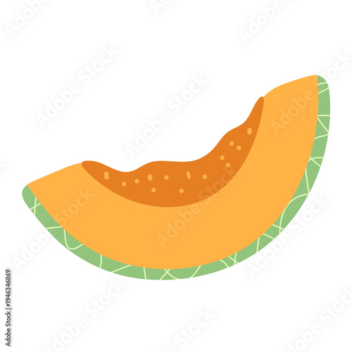 melon fresh fruit vector illustration healthy food 