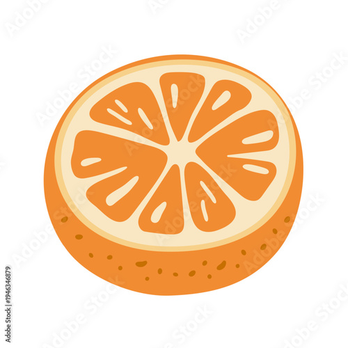 malta fruit fresh fruit vector illustration healthy food 