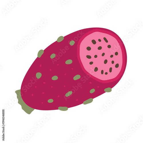 prickly pear fresh fruit vector illustration healthy food 