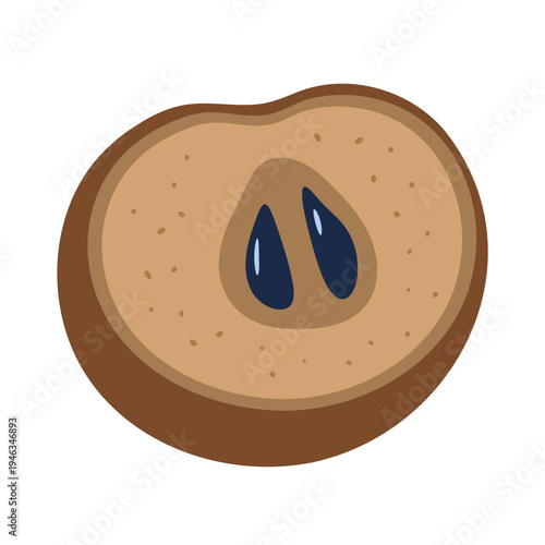 sapodilla fresh fruit vector illustration healthy food 