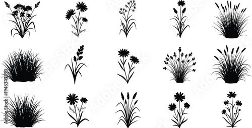 Cad drawing flat vector illustration of wild flowers and grass silhouettes including chamomile, meadow plants, reeds, and botanical garden elements.