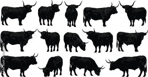 Highland Cow Silhouette Set, Scottish Cattle Highland Bull Graphics, Farm Animal Poses, Horned Livestock Vector, Fluffy Beef Cow Illustration, Cad Drawing Flat Vector Illustration