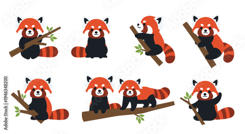 Red panda character set showing cute animals climbing branches and sitting in different poses for nature themed projects.