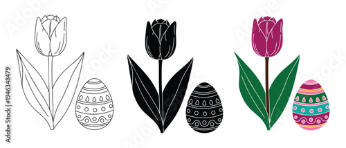 Three different artistic representations of a tulip flower and an Easter egg isolated on transparent background