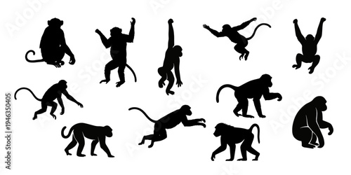 Monkey silhouette collection showing jumping, sitting, climbing and walking primate animals isolated vector illustration set.