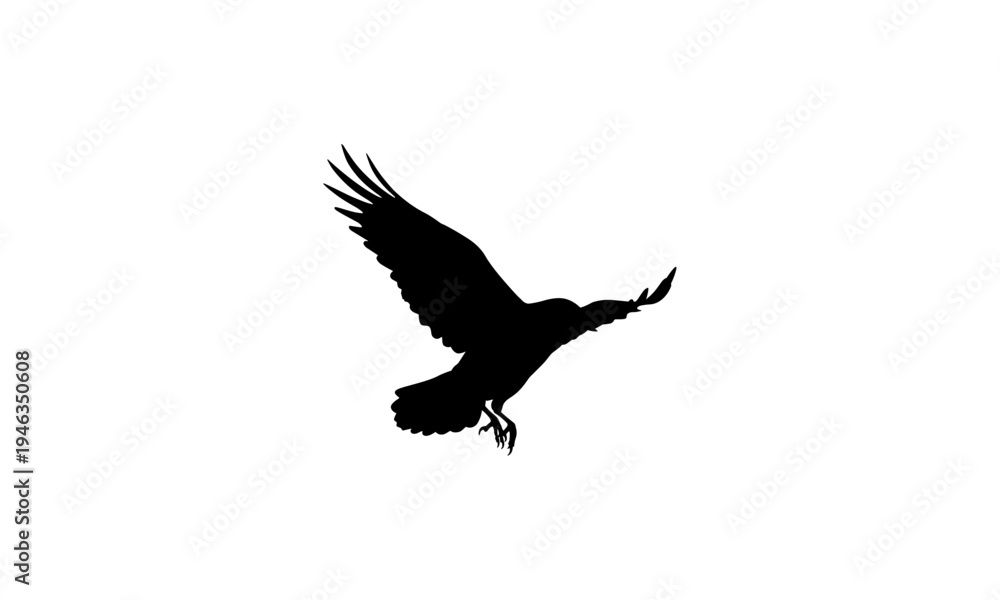 Fototapeta premium Flying Bird Silhouette Isolated Wildlife Vector Illustration