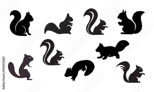 Set of squirrel silhouettes in different poses for wildlife illustrations, forest themes and nature design elements.