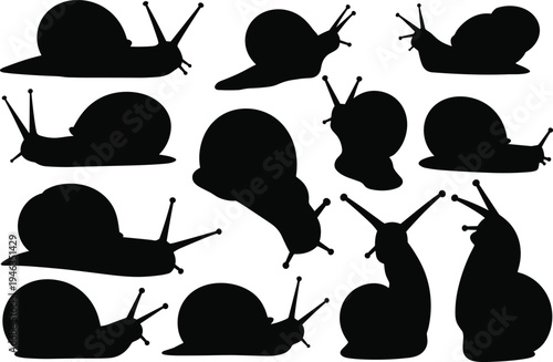 Snail silhouettes collection, garden snail shapes set, crawling mollusk vector icons, slug animal black silhouette illustration, nature wildlife clipart