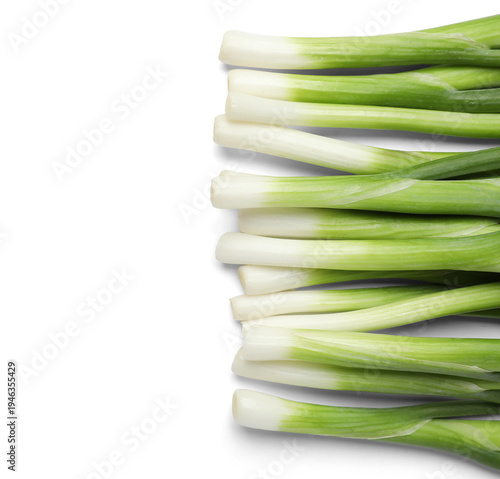 Bunch of fresh green onion ...