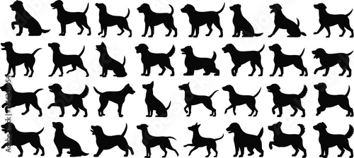 Dog breed silhouettes collection featuring thirty unique poses in black vector design for canine illustration, pet artwork, and animal graphics