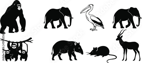 Wild animal silhouettes collection featuring gorilla, elephant, pelican, sloths, tapir, mouse, and antelope in vector design for nature illustration