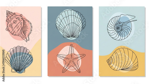Illustration of Shells, Starfish and Nautilus on Colorful Backgrounds