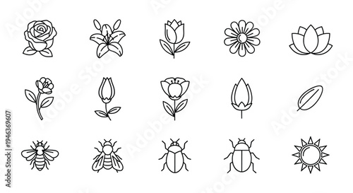 Set of simple line art icons representing flowers insects and sun for design