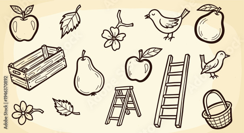 Hand drawn doodle illustration of garden and orchard elements with fruits and birds