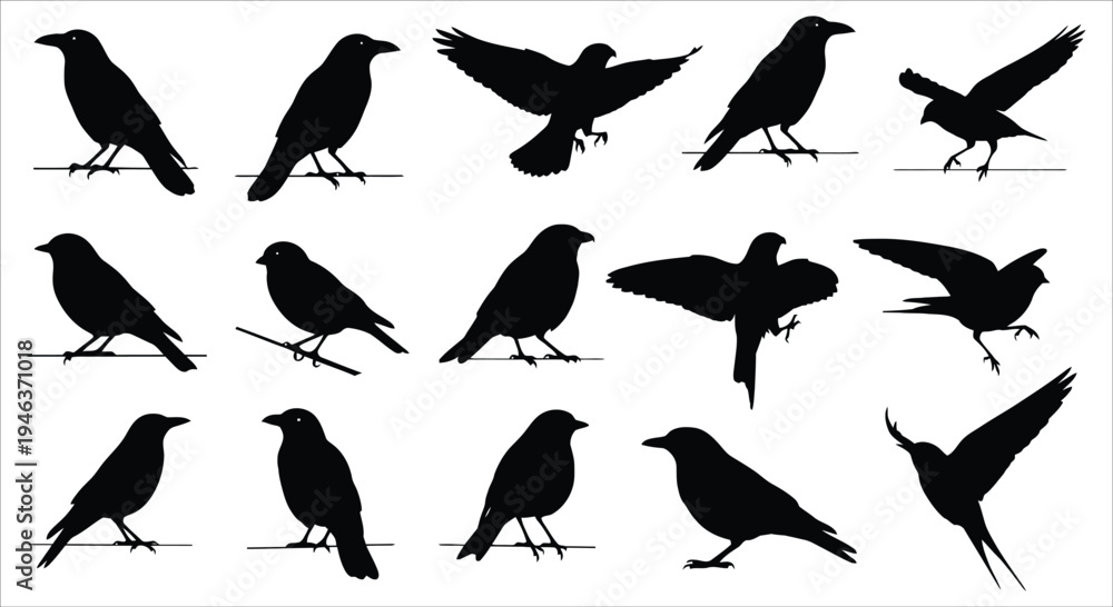 Naklejka premium A collection of black silhouettes depicting various poses of crows and ravens