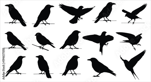 A collection of black silhouettes depicting various poses of crows and ravens