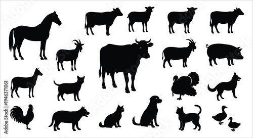 Silhouette collection of various farm animals including horses cows goats and fowl