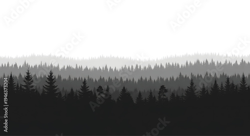 A serene forest landscape with trees silhouetted against a white sky
