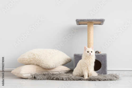 Cute white cat with scratch...