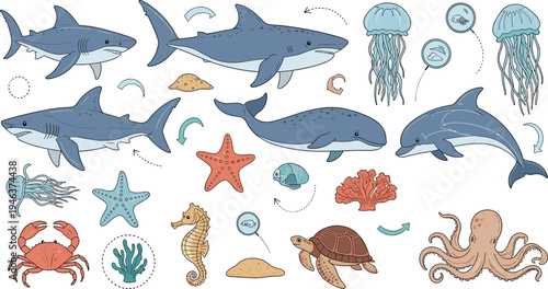 Underwater Ocean Life Illustration with Sharks, Dolphins, Jellyfish, Sea Turtles, and Coral