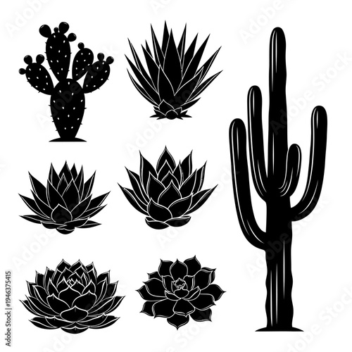 Black and white cactus illustrations set.