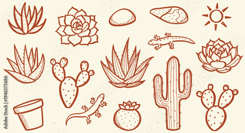 Desert Plants and Animals Collection Hand Drawn Illustration