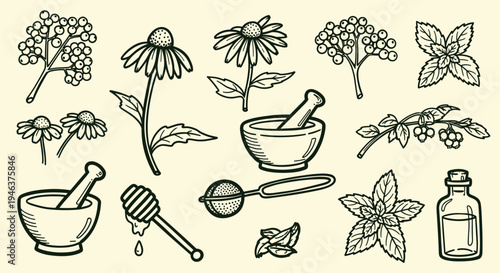 Herbal remedies and natural ingredients for wellness and health