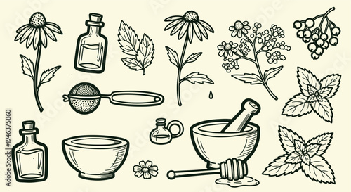 Herbal remedies and natural medicine ingredients with mortar and pestle