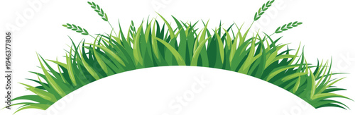Lush green grass patch with golden wheat stalks, vibrant natural agriculture background symbolizing harvest, farming, eco-friendly environment, and botanical design for creative project