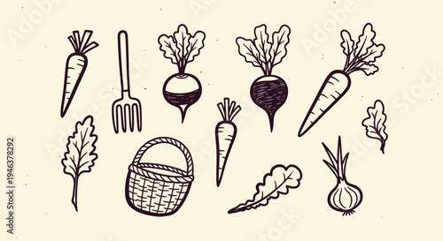 Hand drawn sketch of fresh garden vegetables and gardening tools on a light background