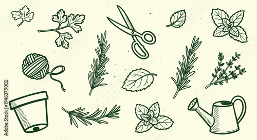 Herbs and Gardening Tools Sketch Collection for Culinary and Botanical Projects