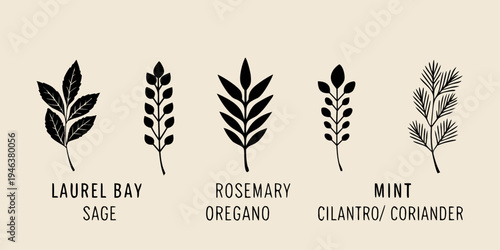 Botanical illustration of various herbs and their labeled names