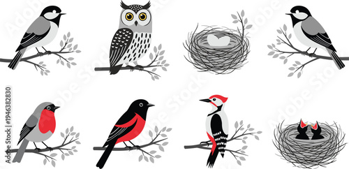 Bird collection vector illustration with owl woodpecker robin songbirds nests eggs and chicks sitting on branches wildlife nature set