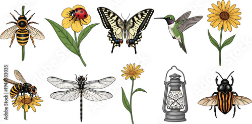 Insects birds and flowers vintage style vector illustration set including bee butterfly dragonfly hummingbird sunflower and ladybug collection