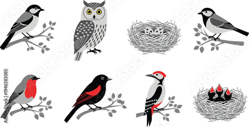 Bird collection vector illustration with owl woodpecker robin nest eggs chicks and songbirds sitting on branches wildlife nature set