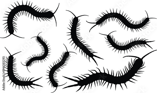 Centipede silhouettes collection with crawling many legged arthropods in different poses, black vector illustration isolated for insect design, pest control concept and creepy wildlife themes