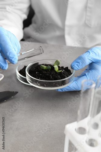 Scientist pouring water int...