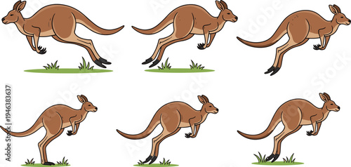 Kangaroo jumping sequence cartoon illustration set showing different hopping poses Australian wildlife movement animation frames isolated on light background vector design