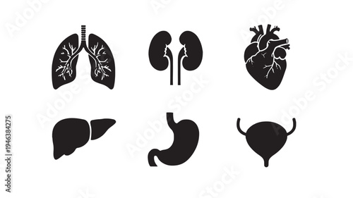 North America map silhouette with political borders clearly defined on a white background featuring continents, geography, countries with United