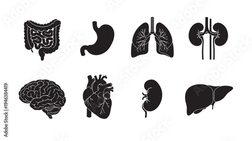 France map black silhouette with white regional borders and the word France below it, isolated on a white background