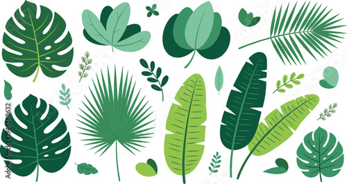 Tropical green leaves collection with monstera, palm and banana foliage, botanical jungle plants illustration set for nature design
