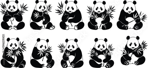 Flat vector silhouette of cute giant pandas sitting and eating bamboo leaves for wildlife conservation and zoo projects