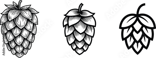 Hop cone illustrations set, brewing ingredient plant icons collection, beer hop botanical design for craft brewery branding