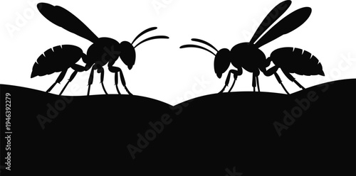 Black silhouette vector illustration of two wasps or bees facing each other on a dark surface, isolated on white background,Black silhouette vector illustration 