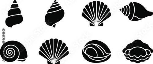 Collection of eight distinct seashell vector graphics in black