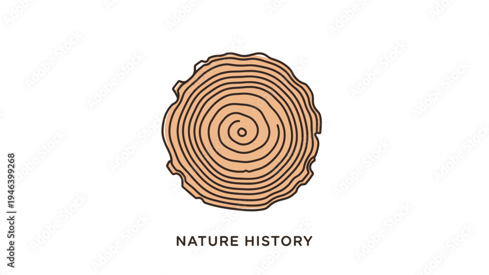 Fototapeta premium Tree Stump Cross Section Rings Illustration.