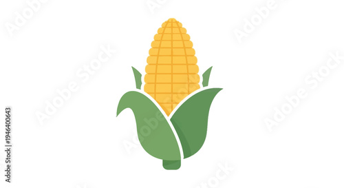 Corn on the Cob Illustration.